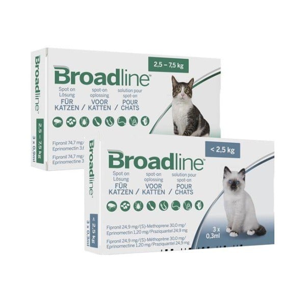 Broadline-1