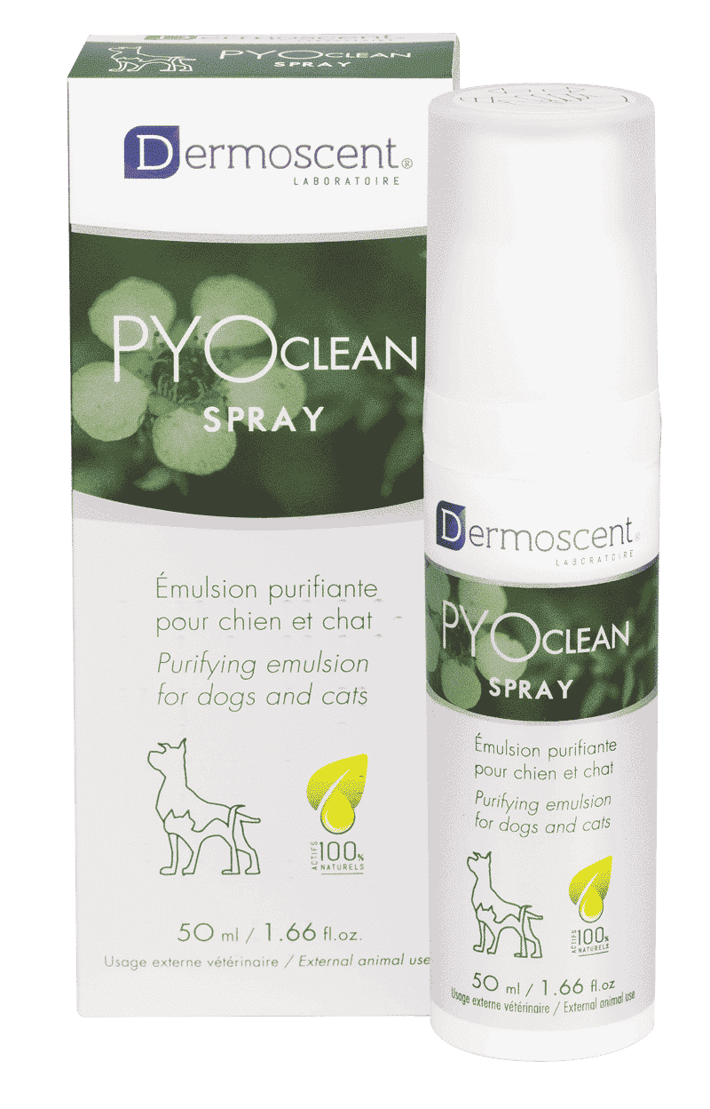 Dermoscent-pyoclean-spray