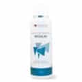 Maxani Regular Shampoo
