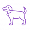 Hond