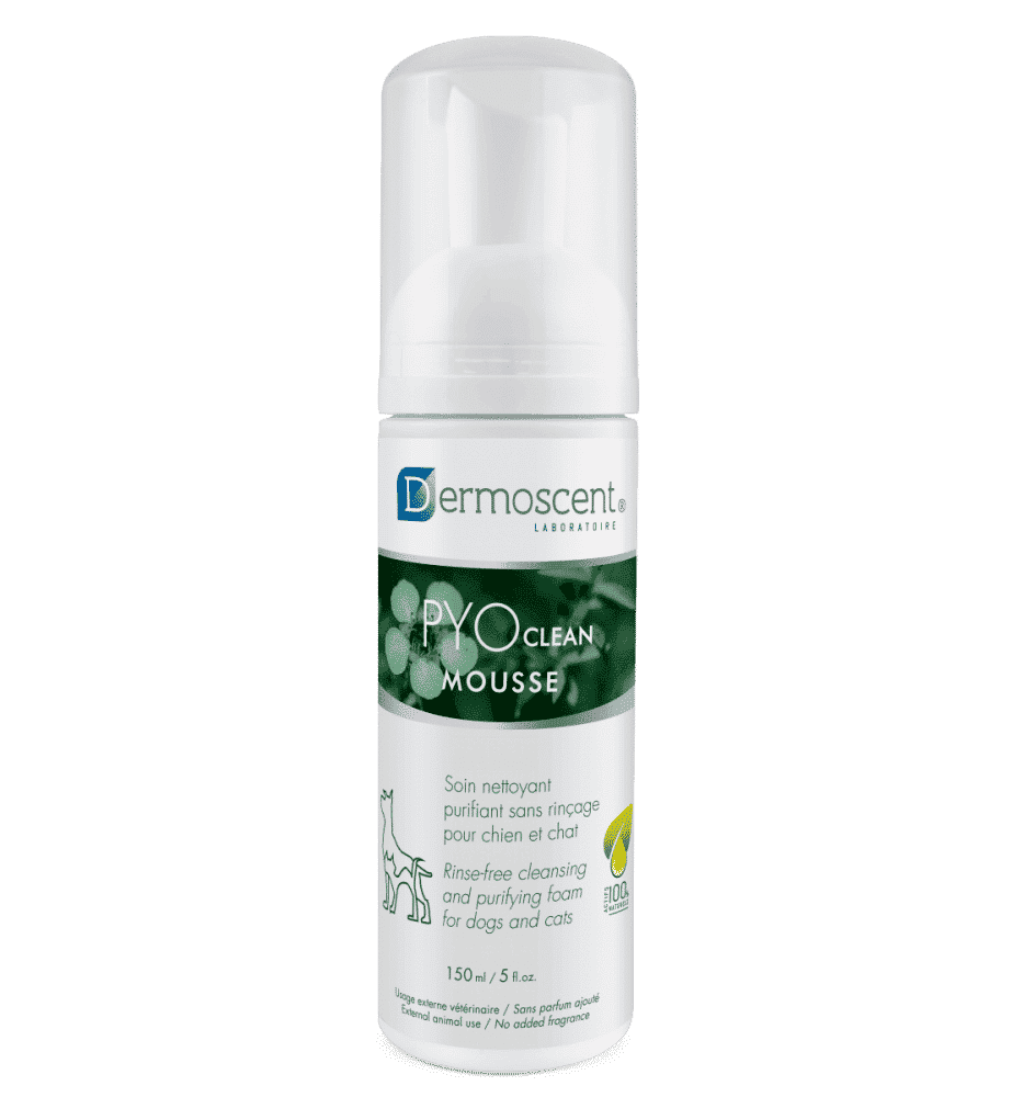 Dermoscent PYOclean Mousse-1