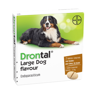 Drontal Large Dog flavour 4 tabletten