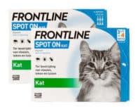 Frontline spot-on kat