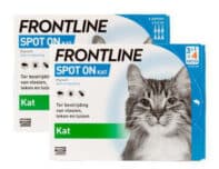 Frontline-spot-on-kat-ontvlooien-vlooien-teken-kat