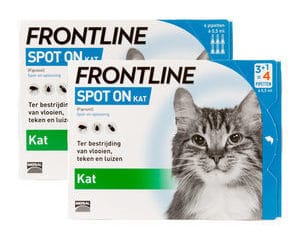 heel veel Ciro Boos worden Frontline Spot-on Kat kopen? - 10% korting - Al 15 jaar ervaring!