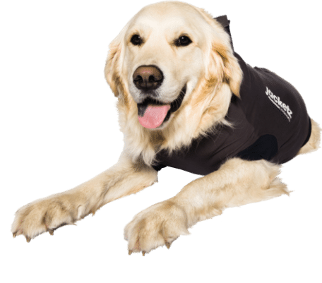 Jacketz Medical Body Suit hond-2