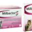 Milbactor Kleine Kat/Kittens 4 Tabletten