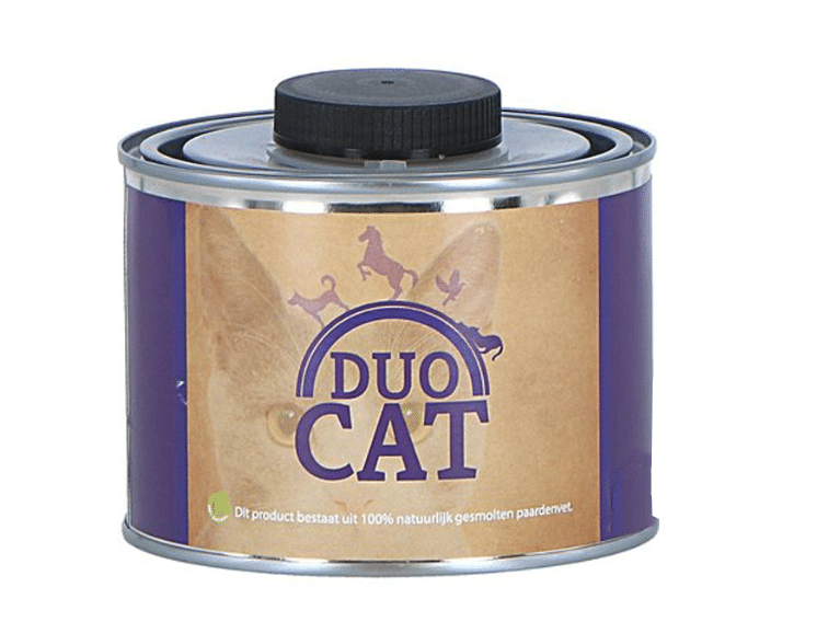 Duo Cat Gesmolten Paardenvet-1