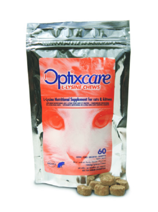 Optixcare L-Lysine Chews-1