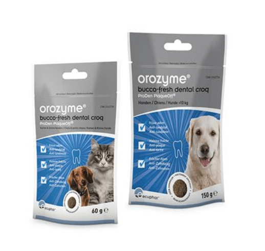 Orozyme Bucco Fresh Dental Croq-1