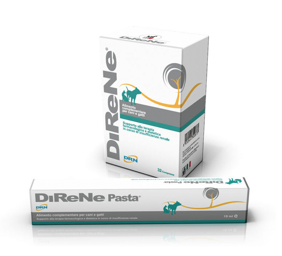DiReNe-1