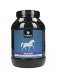 Synovium-Mgnium-magnesium-paard