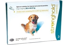 Afkorting Gemakkelijk uitgebreid Stronghold hond kopen? Al 15 jaar ervaring!