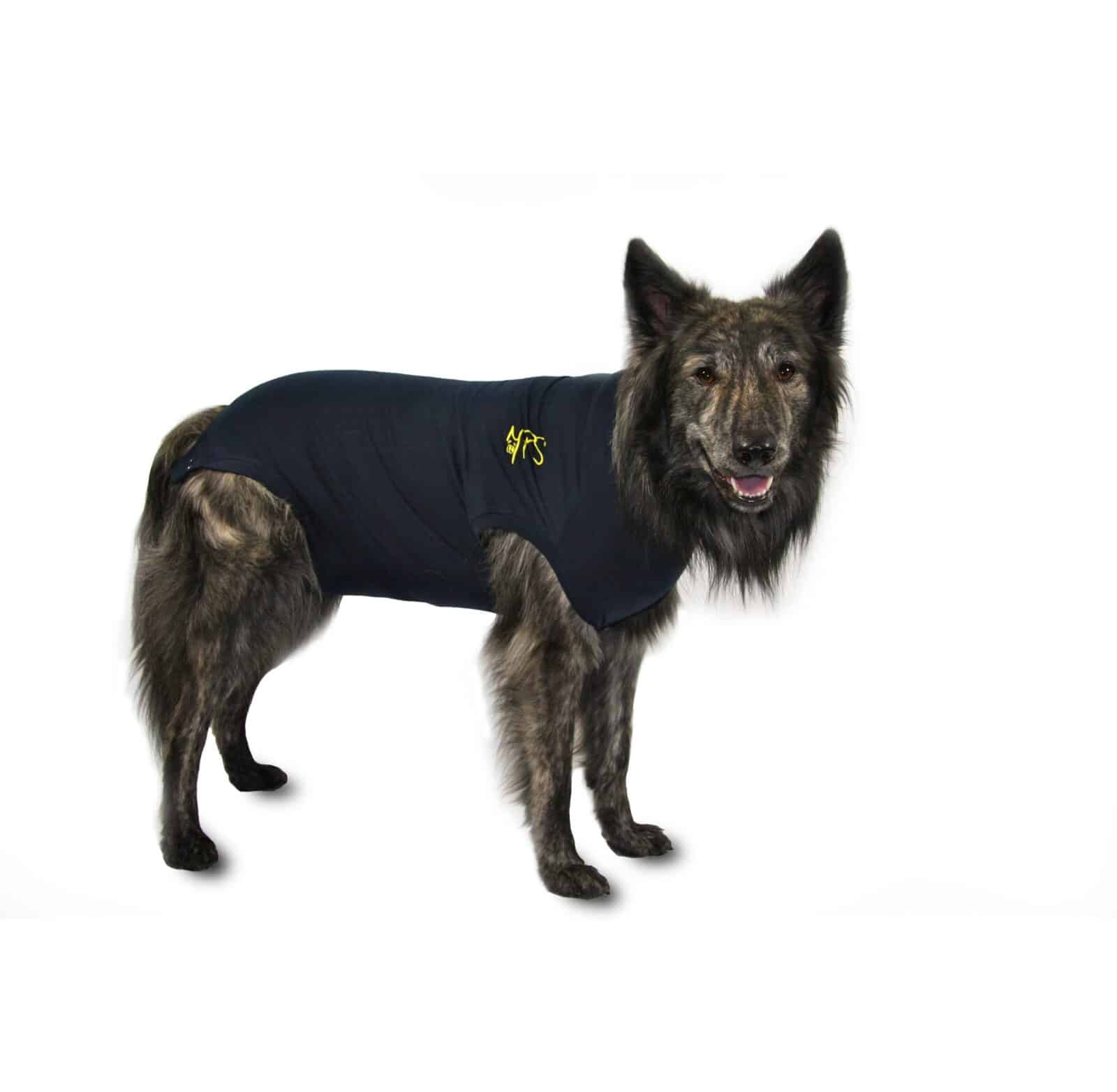 Medical Pet Shirt Hond-5