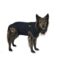 Medical Pet Shirt Hond