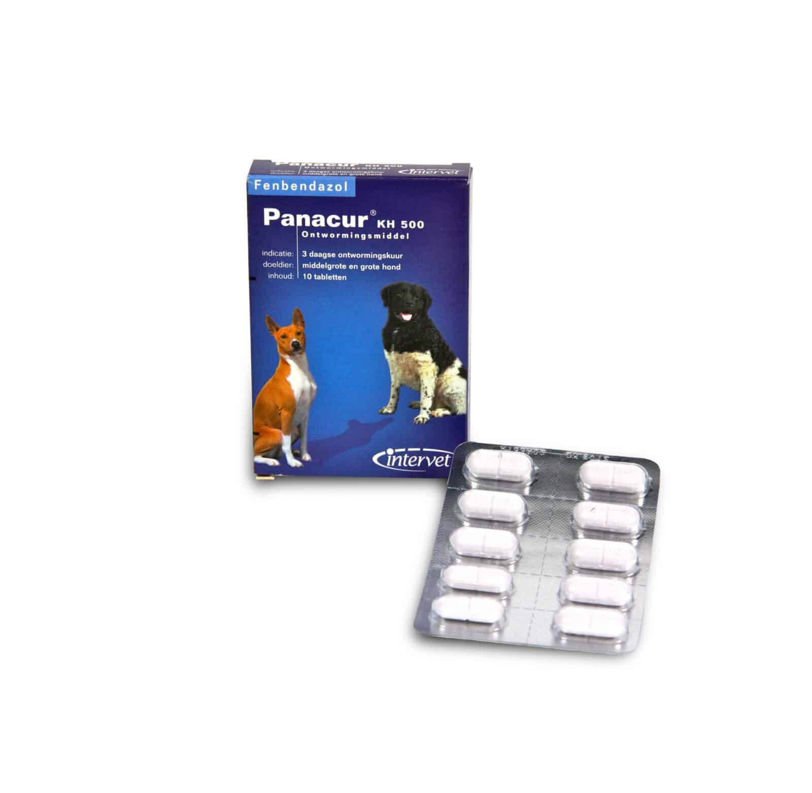 giardia hond panacur