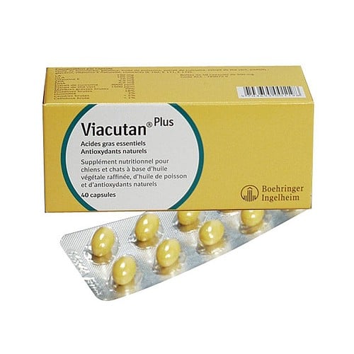 Viacutan-plus Viacutan Plus - Multidoser 95 mlViacutan Plus - 550 mg 40 capsules