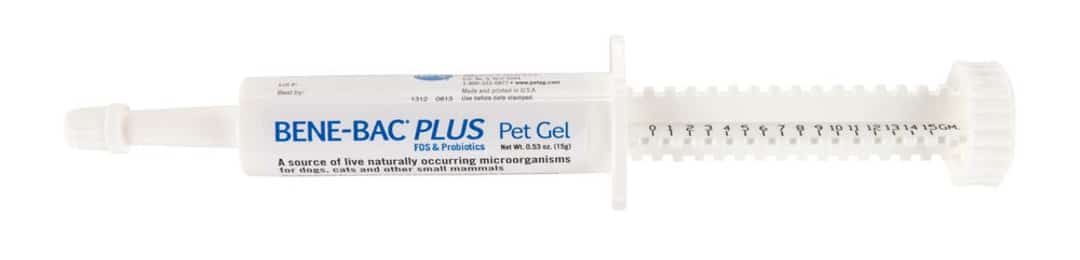 Bene-Bac pet gel-1