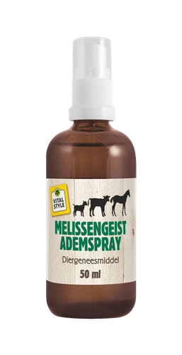 VITALstyle Melissengeist Ademspray-1