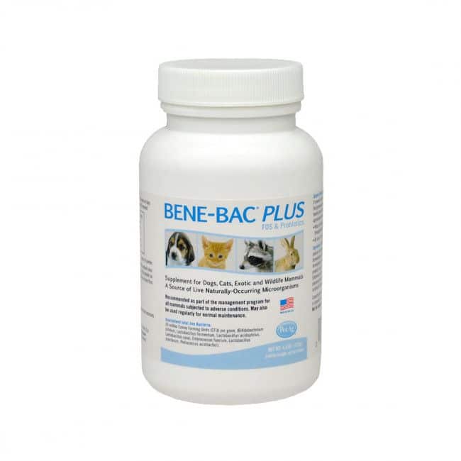 Bene Bac pet powder-1