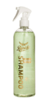 Rapide Spray Shampoo