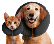 ZenPet-ProCollar-Hond-Kat-kraag