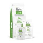 brit care adult large breed volwassen hond droogvoer graanvrij zalm aardappel