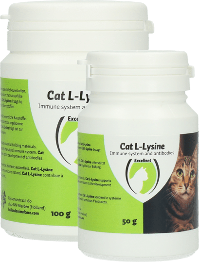 Excellent – Cat L-Lysine-1