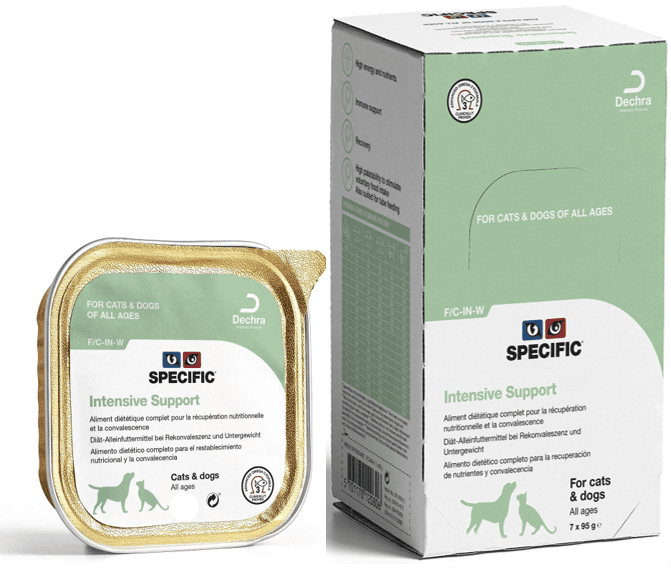 Specific Intensive Support Hond/Kat-1