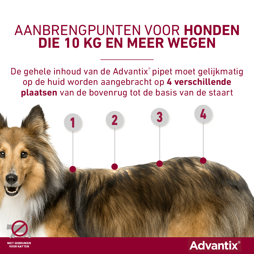 bizon Beheren Opeenvolgend Advantix hond kopen? - 10% korting - Al 15 jaar ervaring!