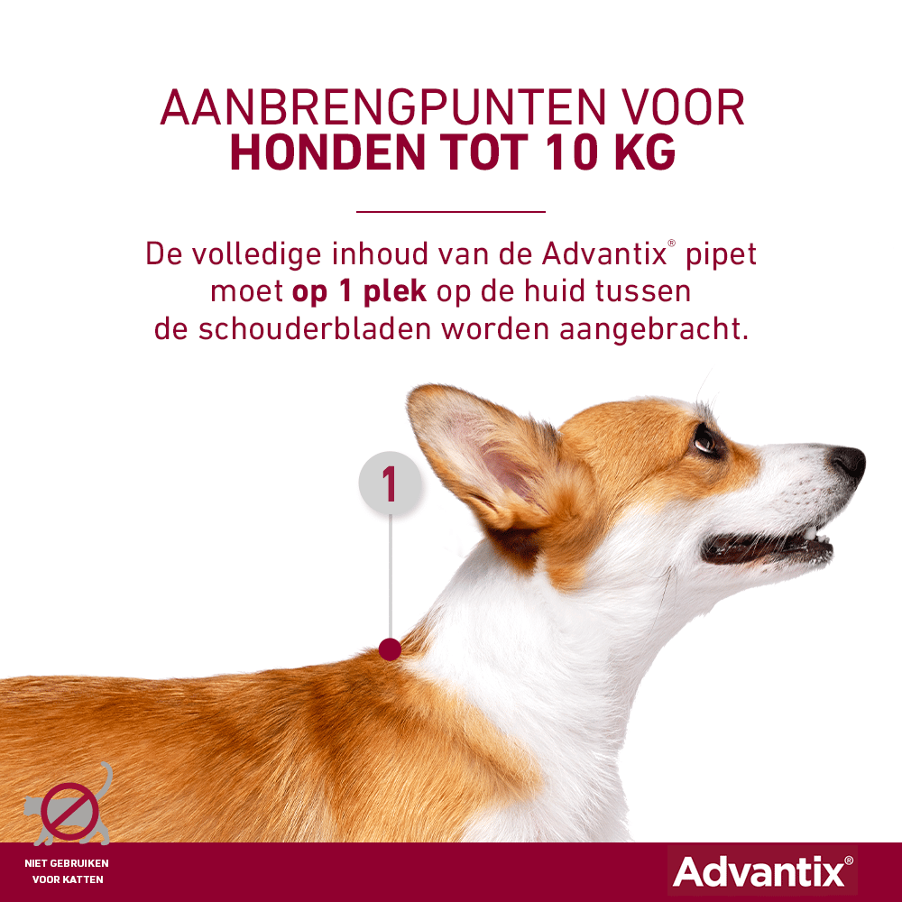 bizon Beheren Opeenvolgend Advantix hond kopen? - 10% korting - Al 15 jaar ervaring!