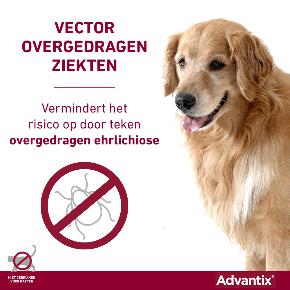 Discriminerend Licht Gloed Advantix hond kopen? - 10% korting - Al 15 jaar ervaring!