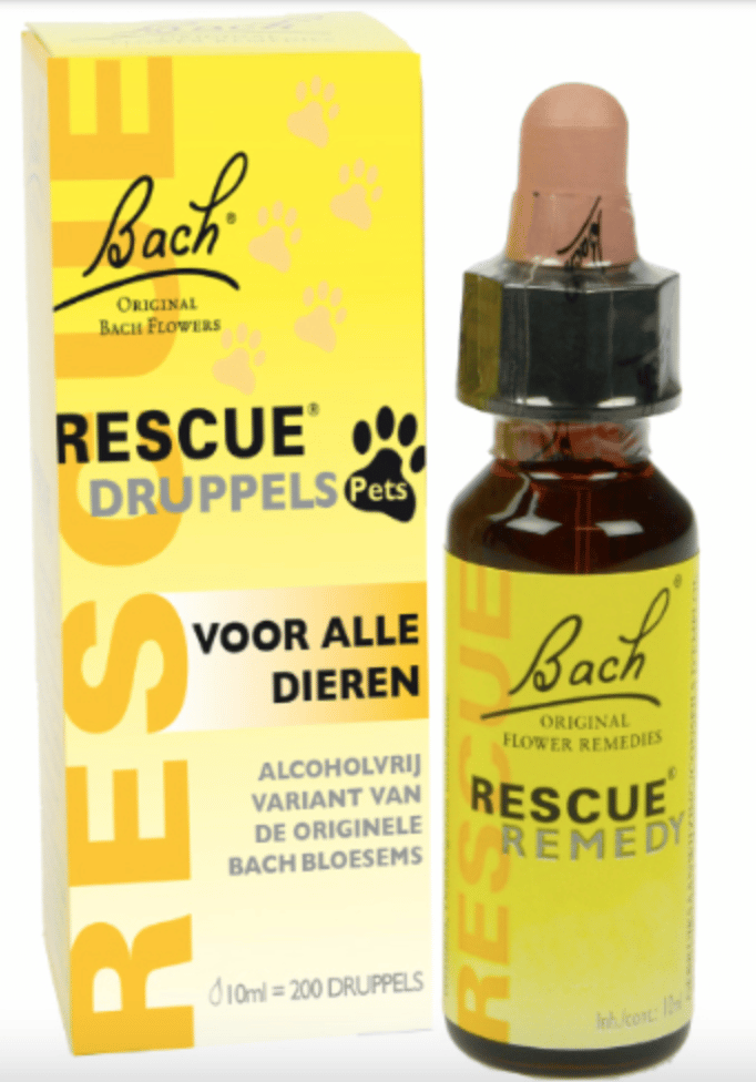 Bach Rescue-4