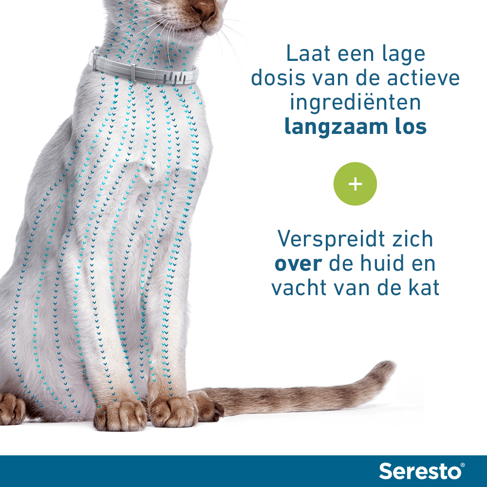 Seresto Vlooien- en Tekenband Kat-10