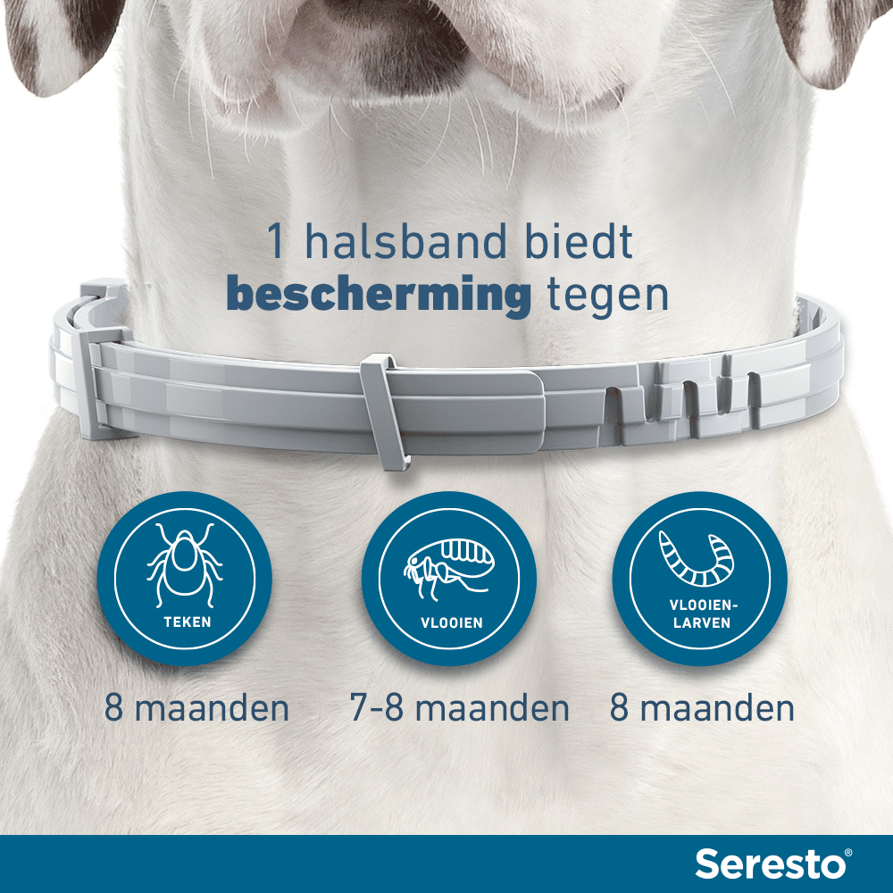 Seresto Vlooien- en Tekenband Hond-8