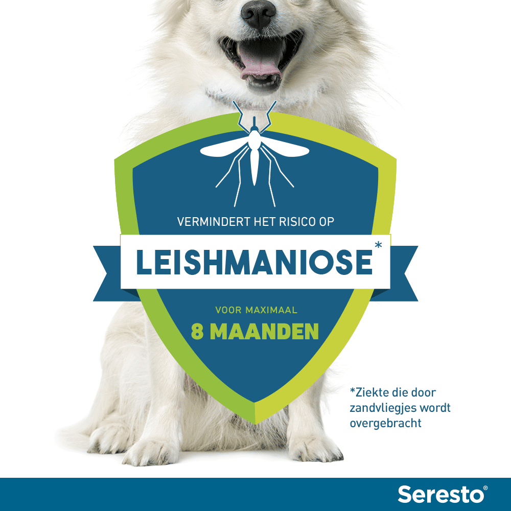 Seresto Vlooien- en Tekenband Hond-4