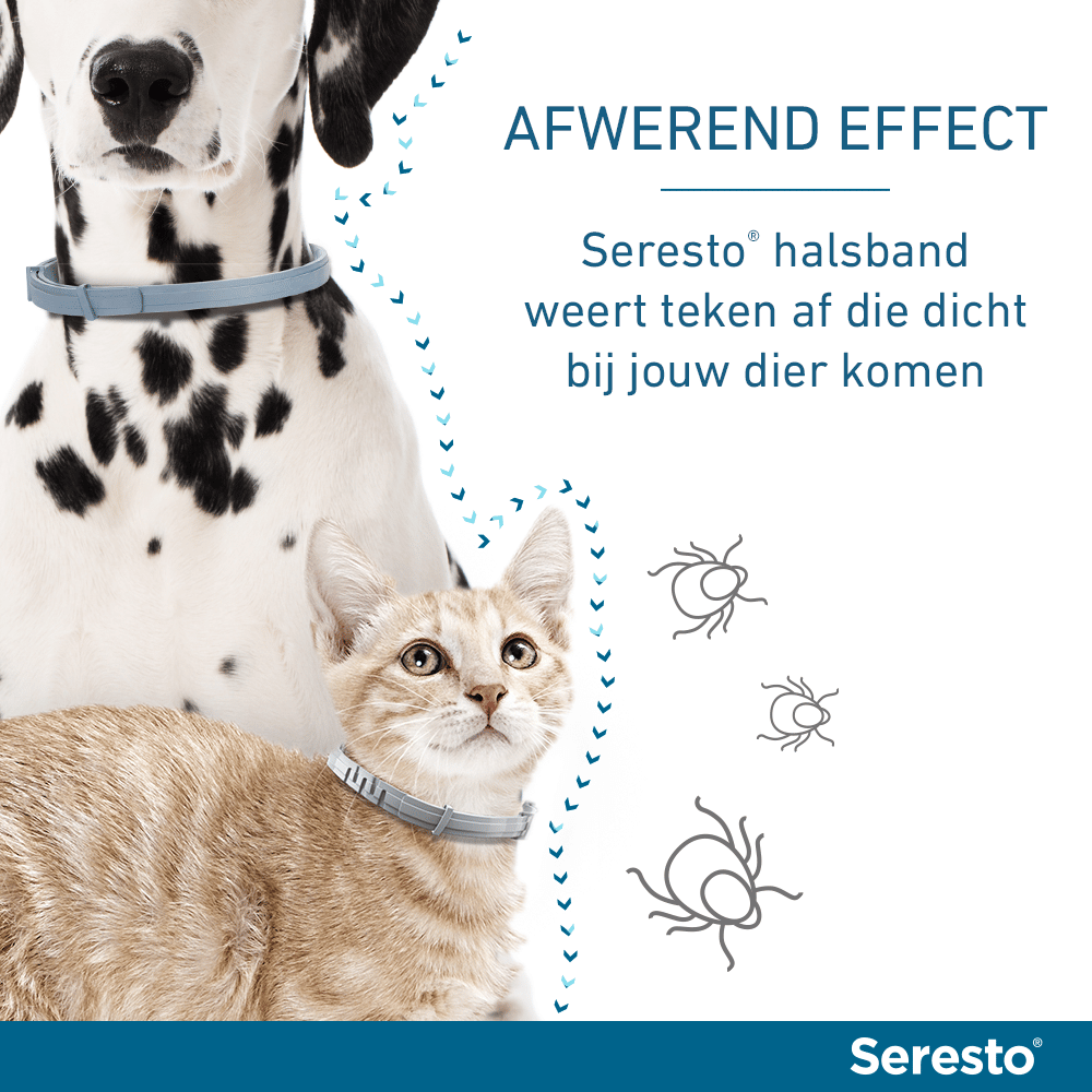 Seresto Vlooien- en Tekenband Hond-13