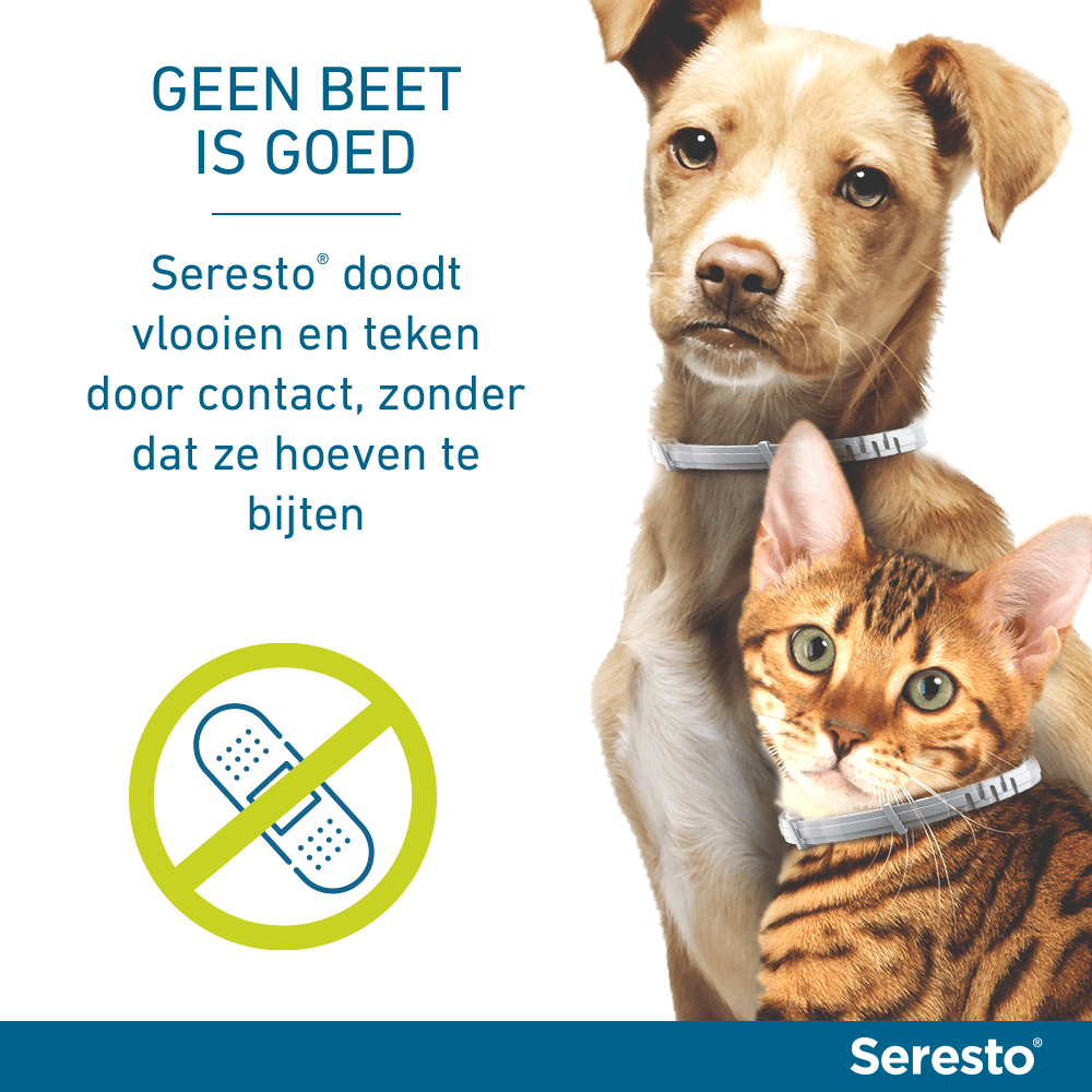 Seresto Vlooien- en Tekenband Hond-12