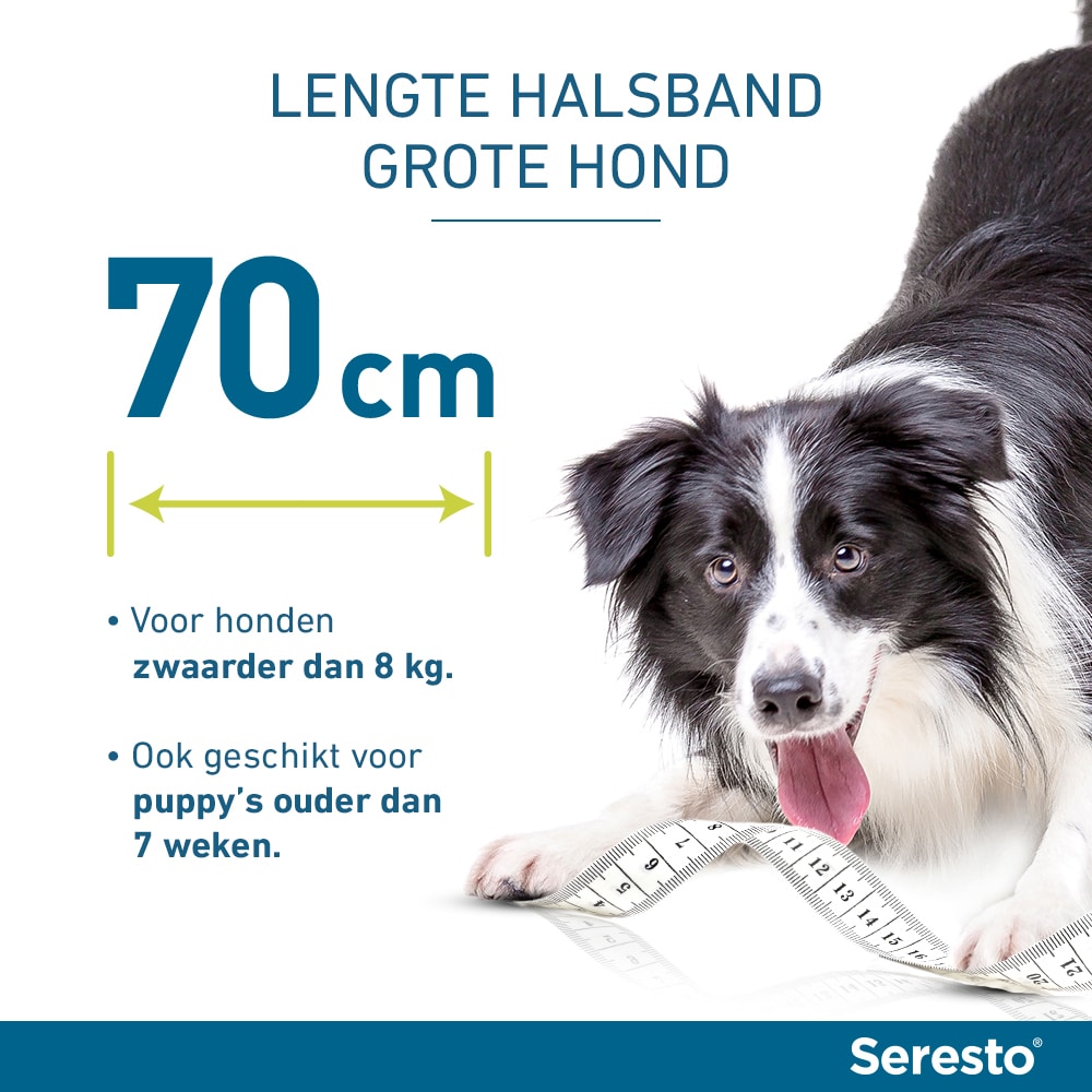 Seresto Vlooien- en Tekenband Hond-9