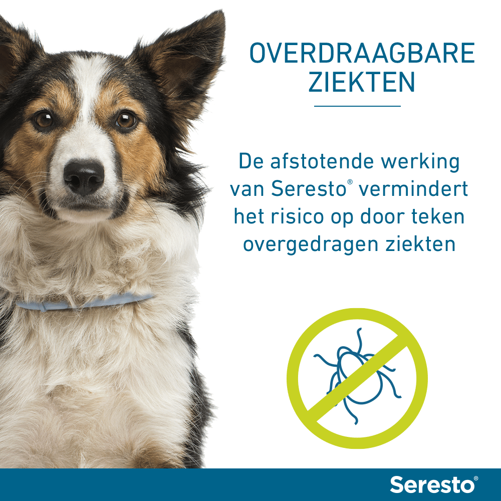 Seresto Vlooien- en Tekenband Hond-7