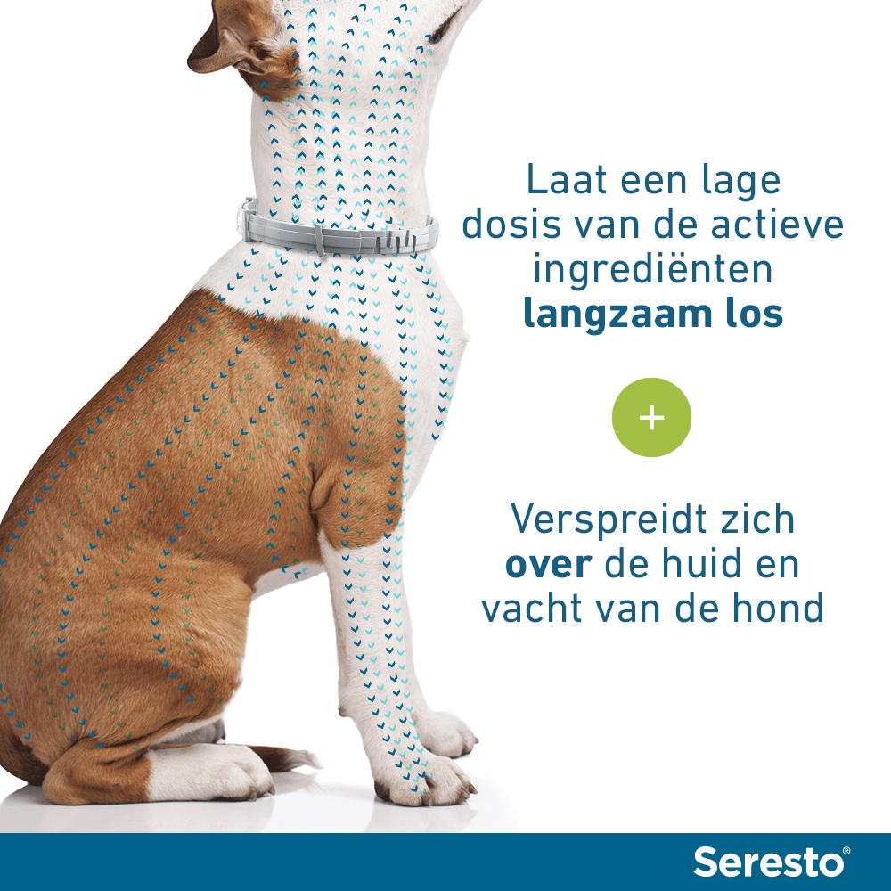 Seresto Vlooien- en Tekenband Hond-5
