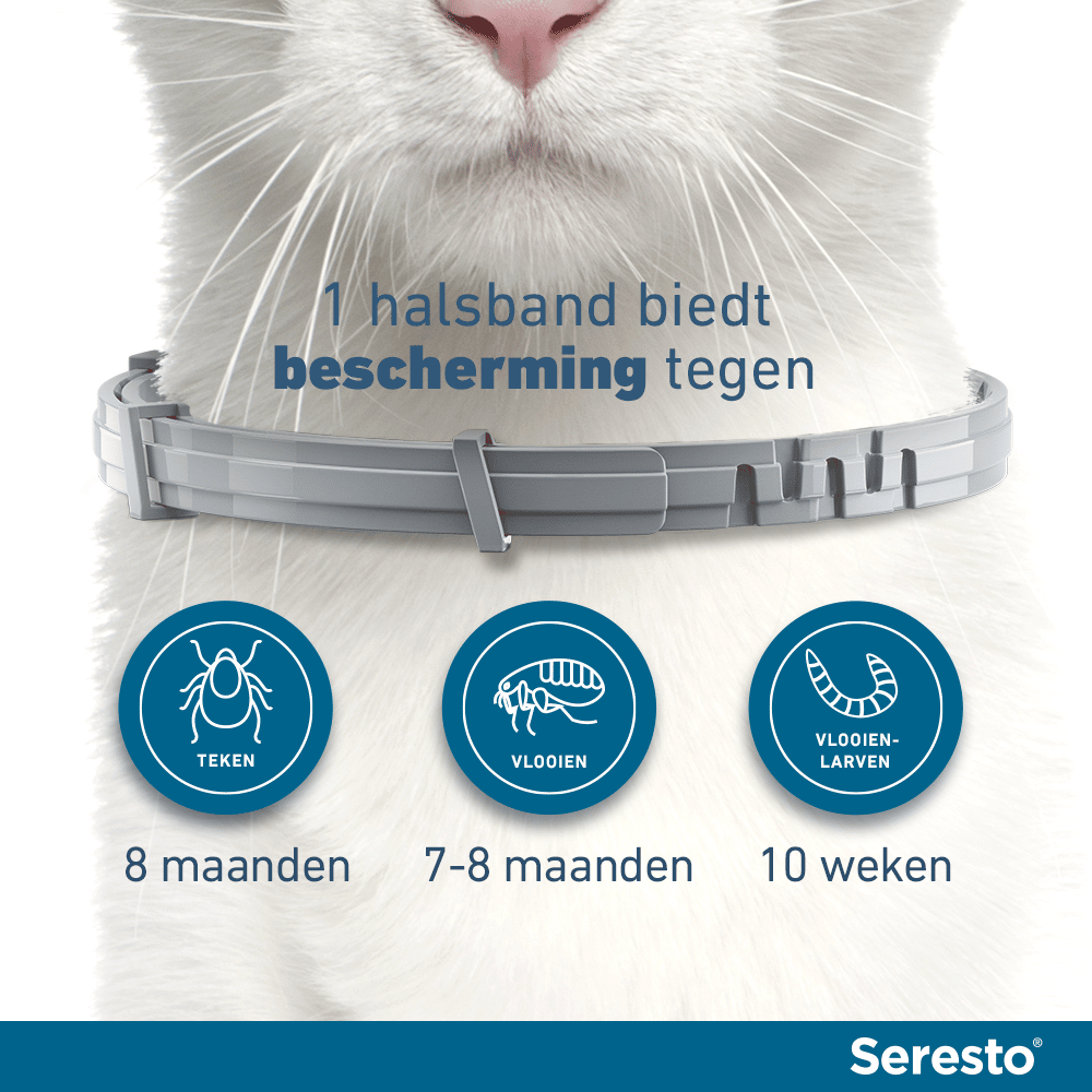 Seresto Vlooien- en Tekenband Kat-9