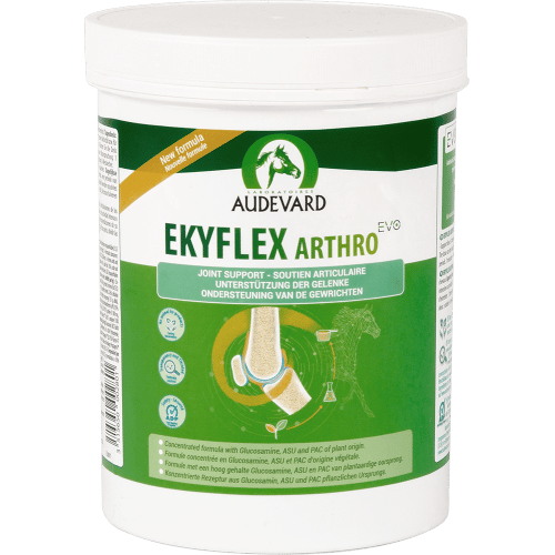 Audevard Ekyflex Arthro Evo-4