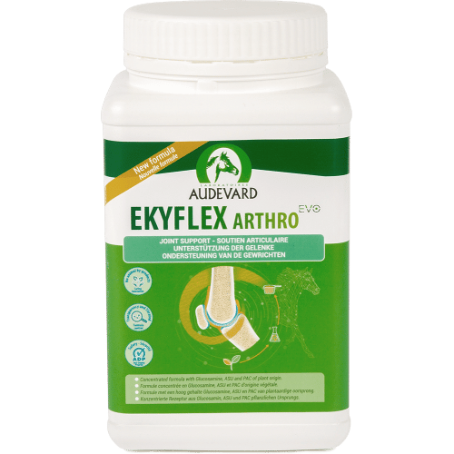 Audevard Ekyflex Arthro Evo-5