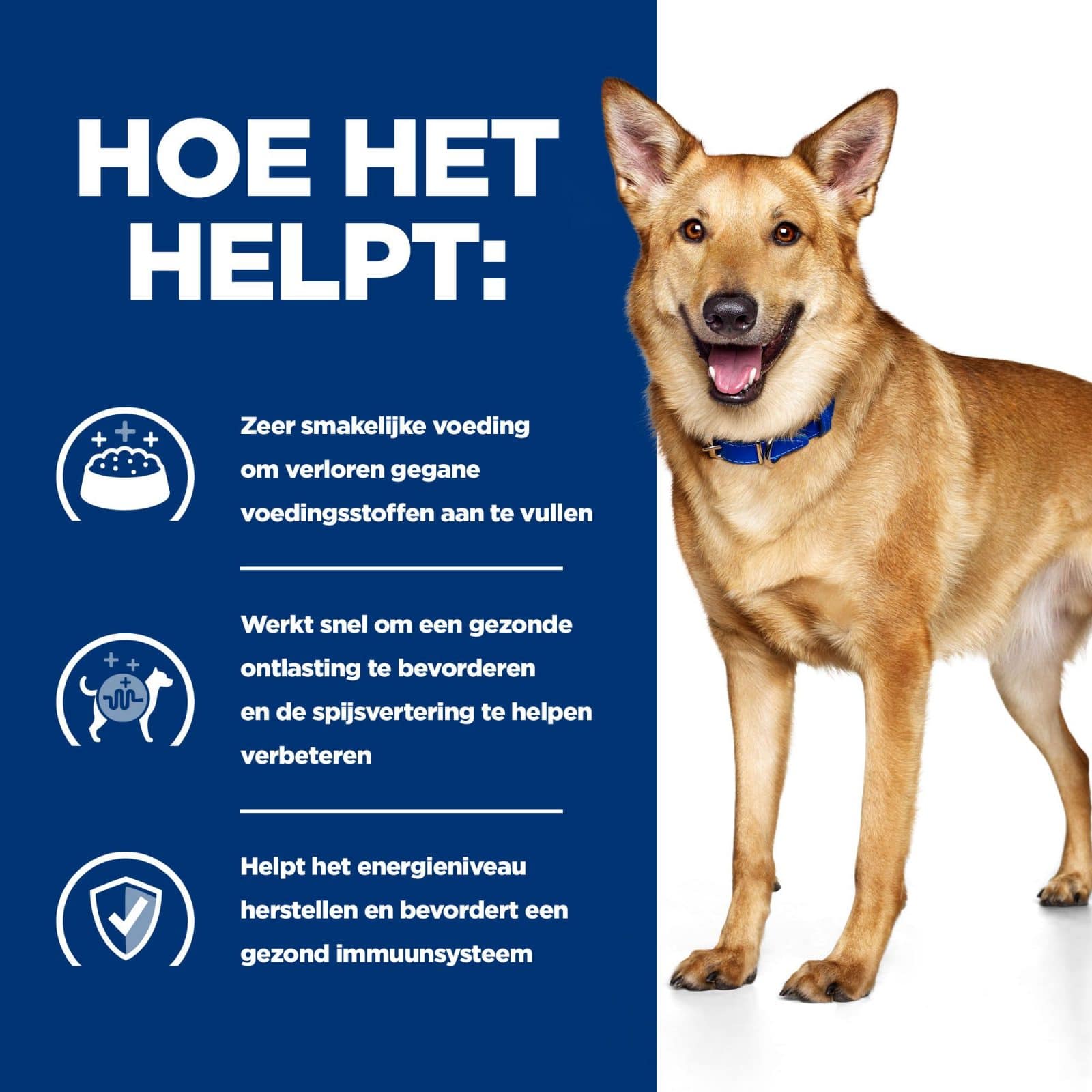 Hill’s Digestive Care I/D hondenvoer met kip-4