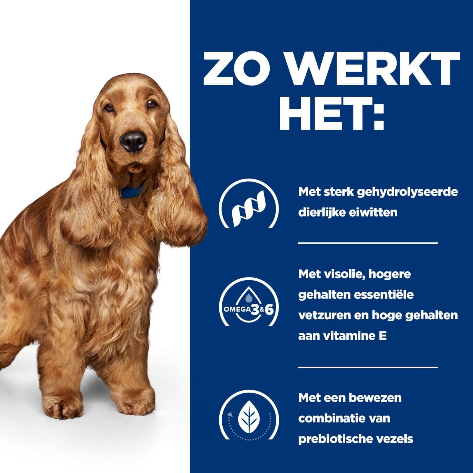 Los uitvegen Verschillende goederen Hill's Prescription Diet Z/D sensitivities hondenvoer | Koop het hier!