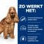 Hill’s Prescription Diet Z/D sensitivities hondenvoer