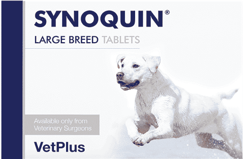 Vetplus Synoquin EFA Hond-4