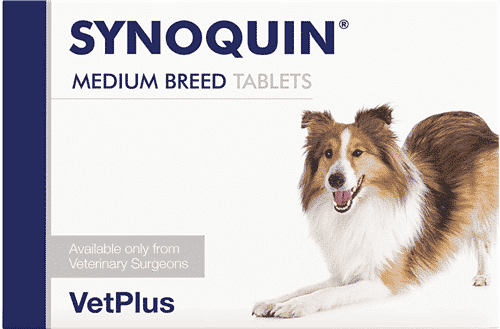 Vetplus Synoquin EFA Hond-3