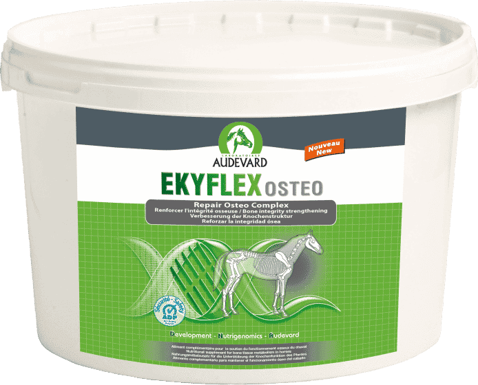 Audevard Ekyflex Osteo-1